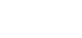 SS Automotive Group