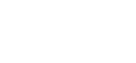 SS Automotive Group