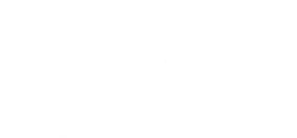 SS Automotive Group